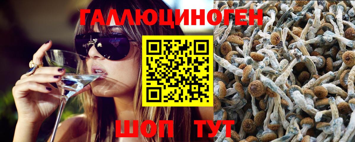 Галлюциногенные грибы MAGIC MUSHROOMS Узловая