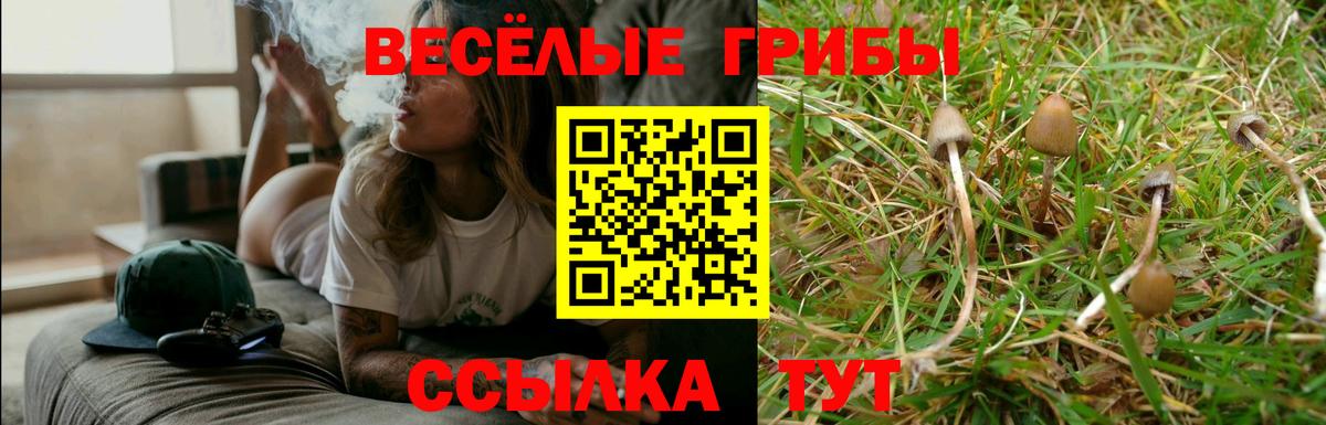 Псилоцибиновые грибы мухоморы  Псилоцибиновые грибы ЛСД  Вход с VPN  Узловая 